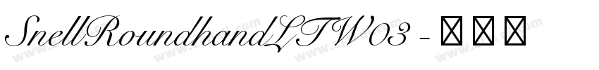SnellRoundhandLTW03 字体转换